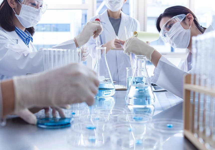 Scientist in laboratory examining liquid in Erlenmeyer flask.